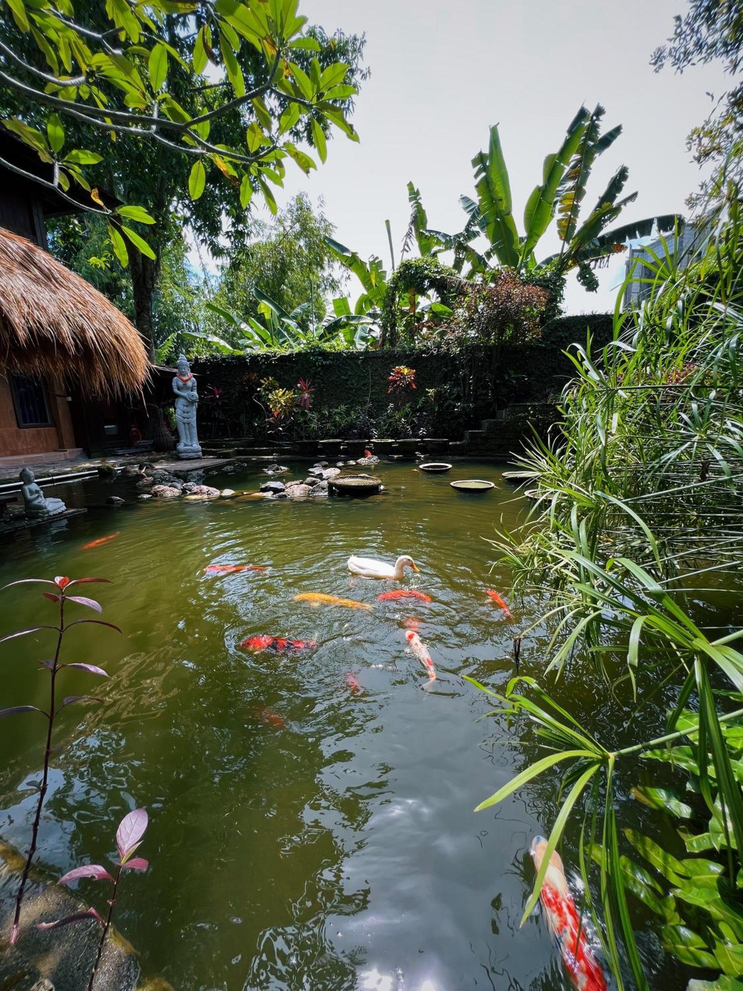 Villa Neshama Canggu Esterno foto