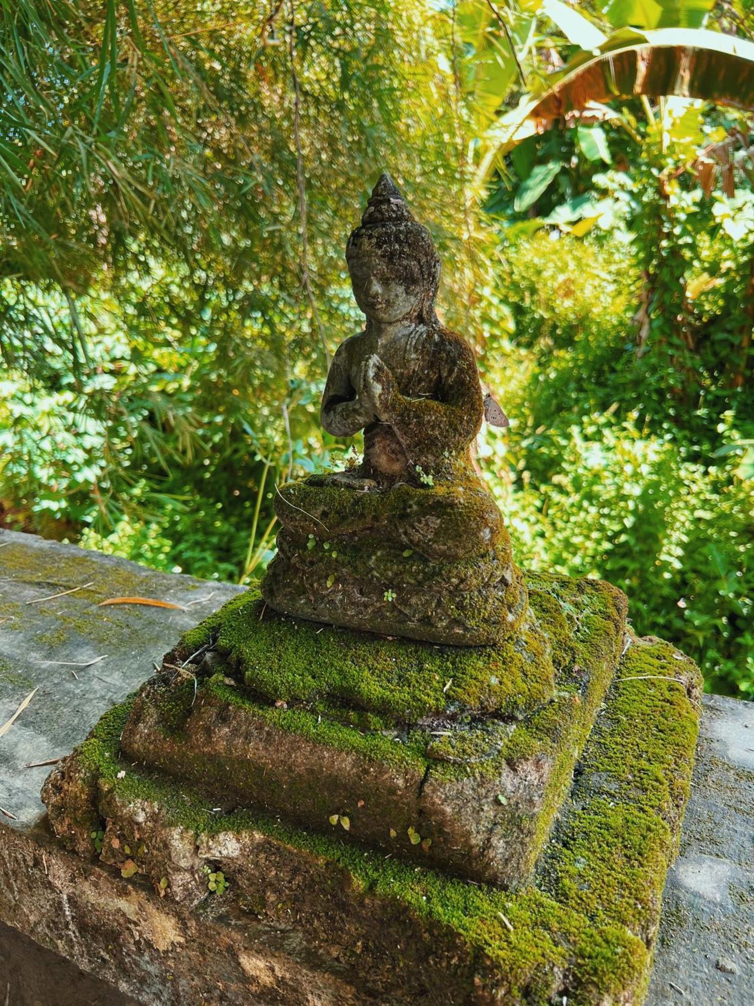 Villa Neshama Canggu Esterno foto