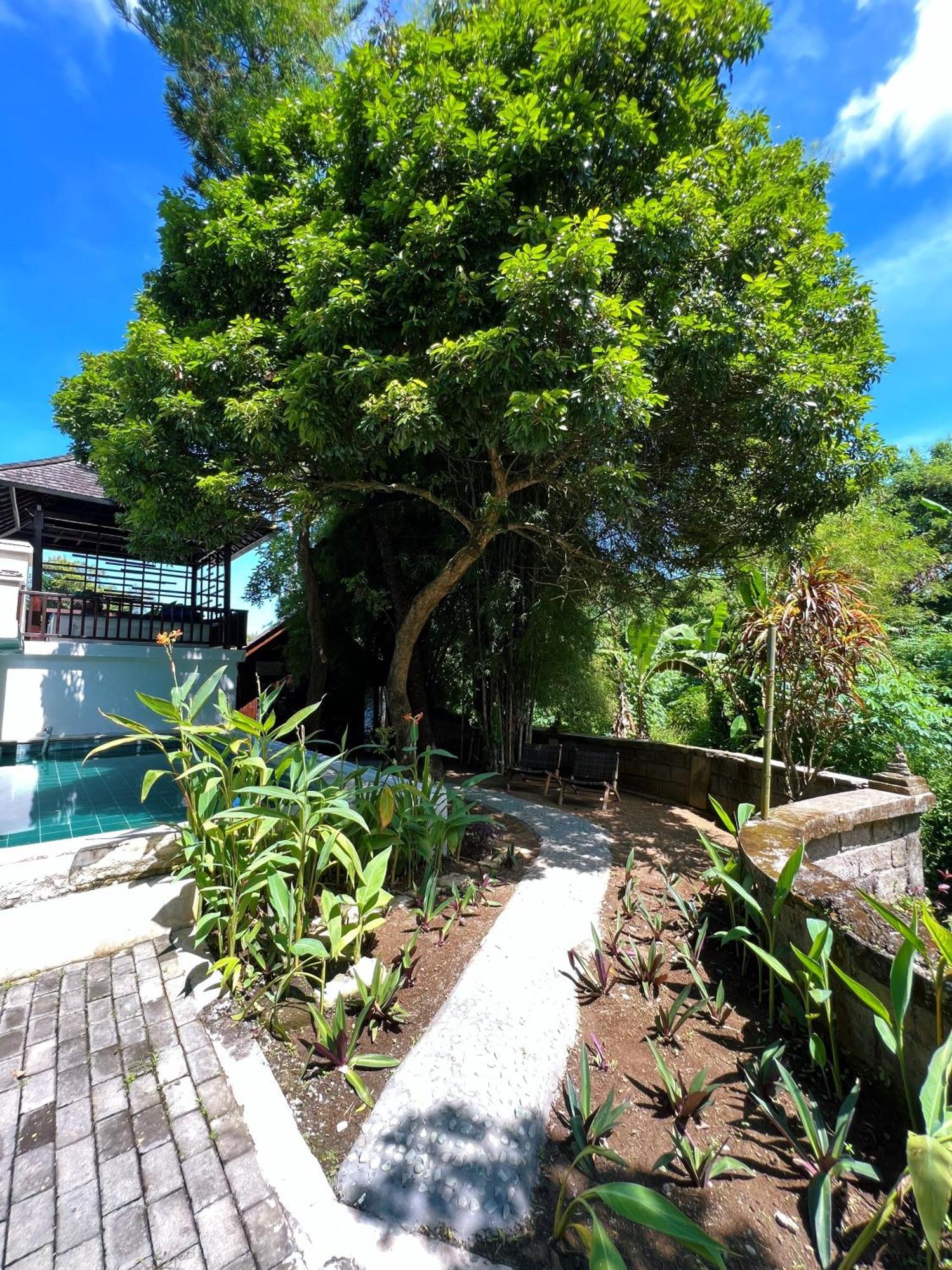 Villa Neshama Canggu Esterno foto