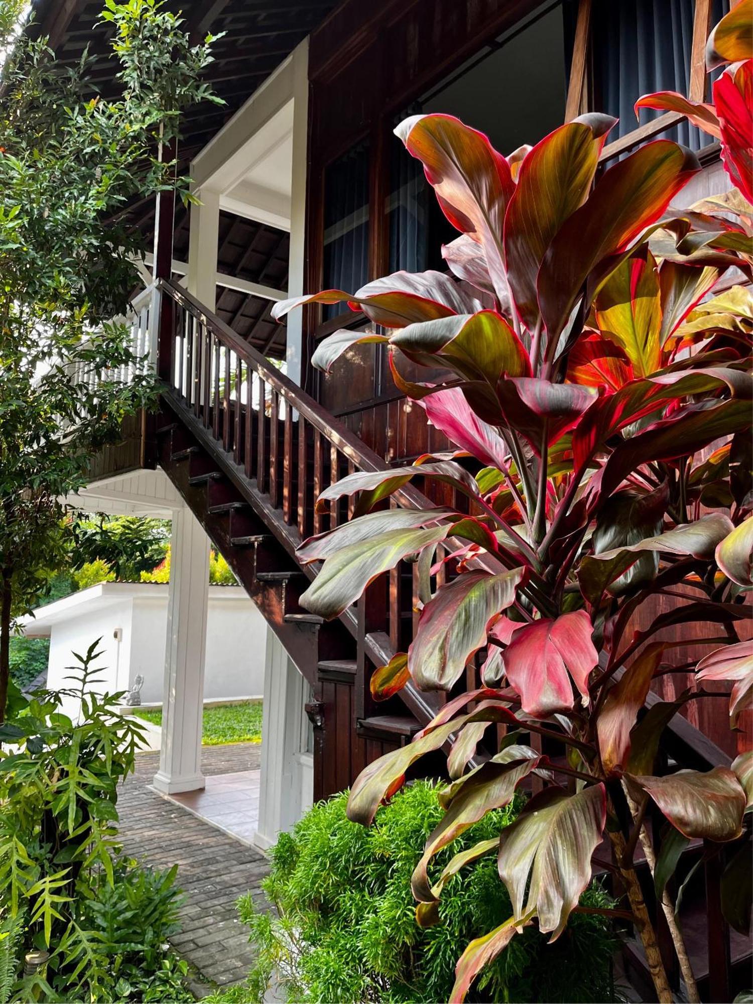 Villa Neshama Canggu Esterno foto